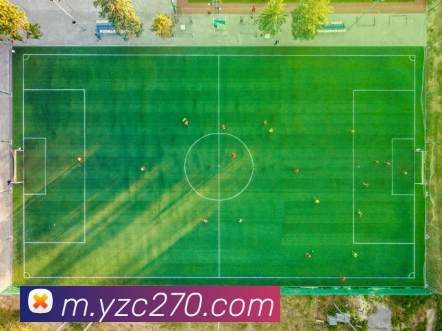 数据防护可视化